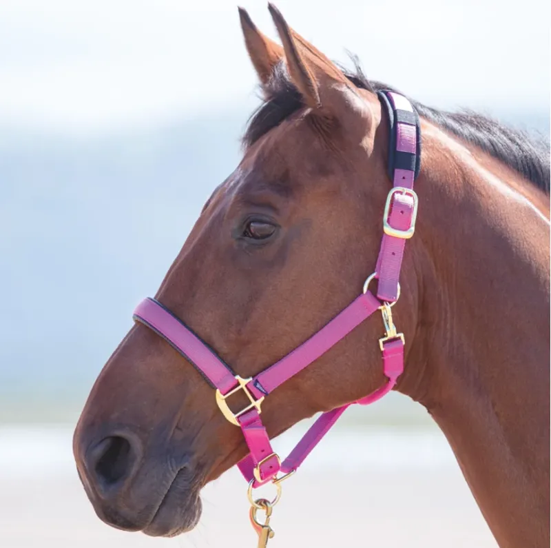 Topaz Nylon Headcollar Raspberry small pony